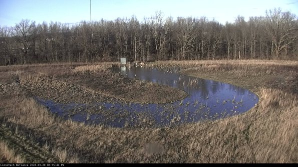 Cell 4_24-03-20_18-55-44-63