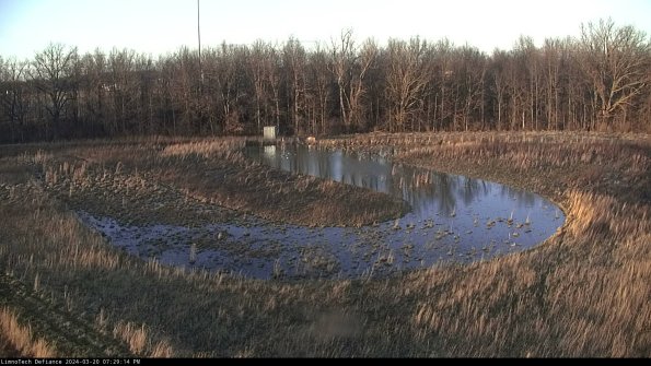 Cell 4_24-03-20_19-29-14-65