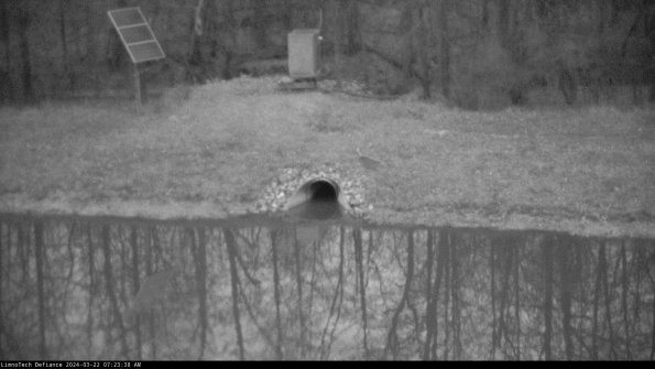 Basin Inflow_24-03-22_07-23-38-52