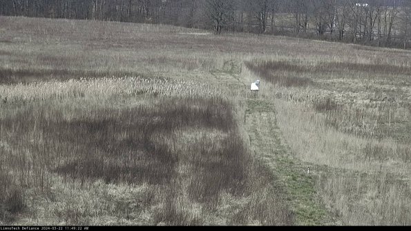 Cell 1 to 2_24-03-22_11-49-23-33