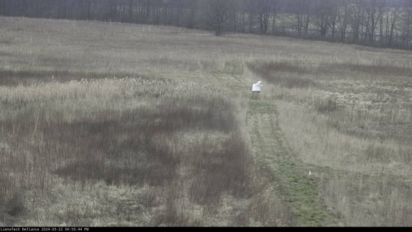 Cell 1 to 2_24-03-22_16-50-45-32