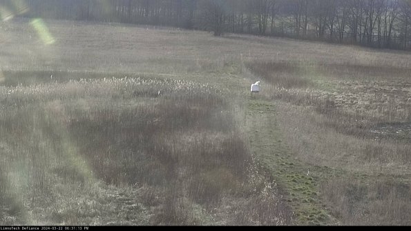 Cell 1 to 2_24-03-22_18-31-14-31