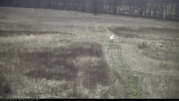 Cell 1 to 2_24-03-22_19-38-13-33