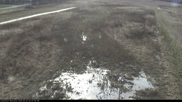 Cell 1_24-03-22_17-57-29-34