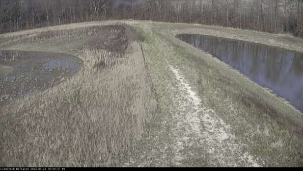 Cell 4 to Basin_24-03-22_17-59-22-35