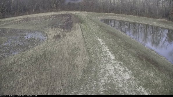 Cell 4 to Basin_24-03-22_18-32-53-30