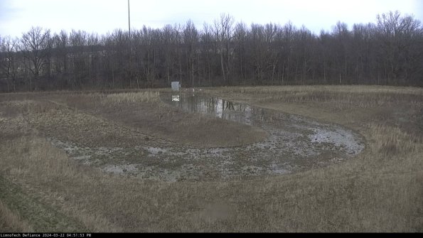 Cell 4_24-03-22_16-51-54-32