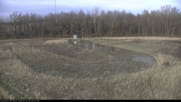 Cell 4_24-03-22_18-32-23-31