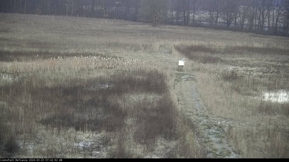 Cell 1 to 2_24-03-23_07-42-02-62