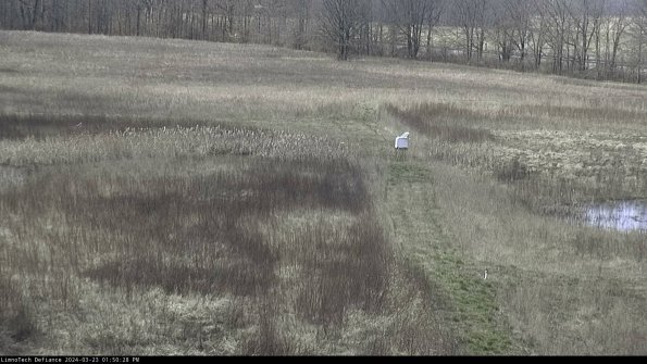 Cell 1 to 2_24-03-23_13-50-28-63