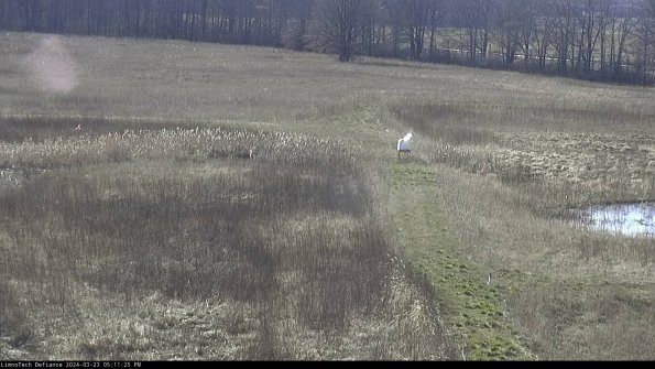 Cell 1 to 2_24-03-23_17-11-25-64