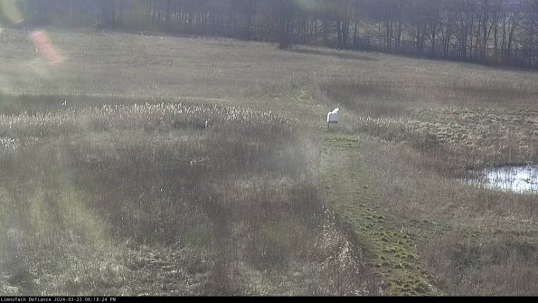 Cell 1 to 2_24-03-23_18-18-24-67