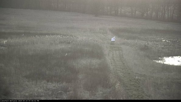 Cell 1 to 2_24-03-23_19-58-52-65