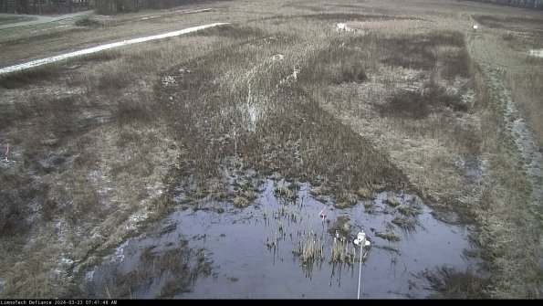 Cell 1_24-03-23_07-41-48-67