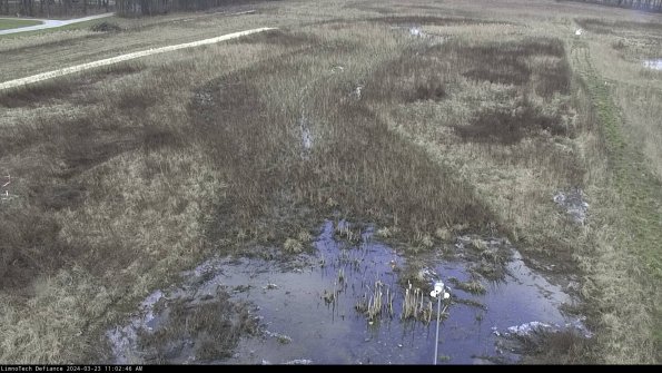 Cell 1_24-03-23_11-02-46-65