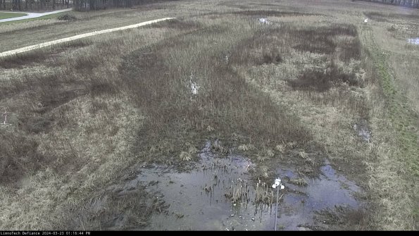 Cell 1_24-03-23_13-16-44-64