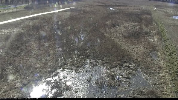 Cell 1_24-03-23_17-11-11-66