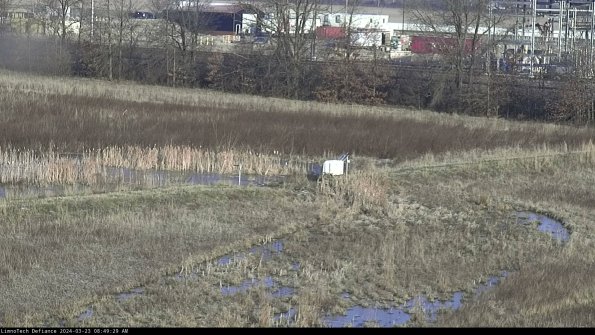 Cell 2 to 3_24-03-23_08-49-29-80