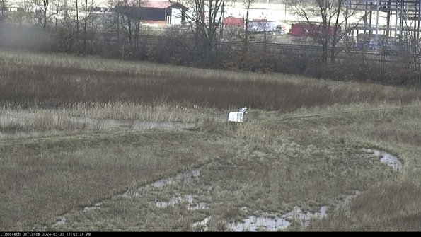 Cell 2 to 3_24-03-23_11-03-26-82