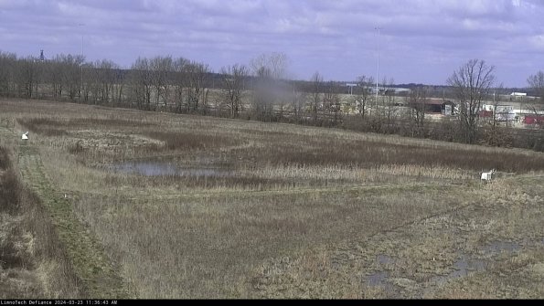 Cell 2_24-03-23_11-36-43-65