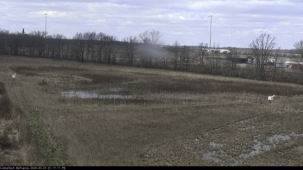 Cell 2_24-03-23_13-17-11-66