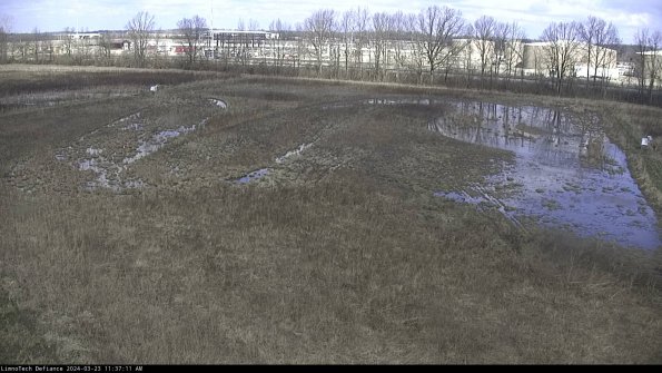 Cell 3_24-03-23_11-37-11-65