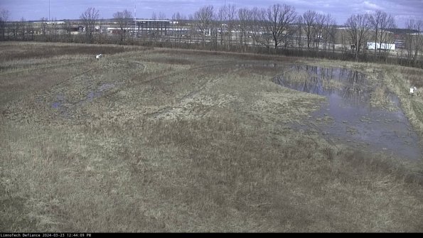 Cell 3_24-03-23_12-44-09-88