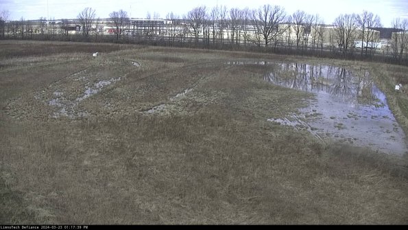 Cell 3_24-03-23_13-17-39-66