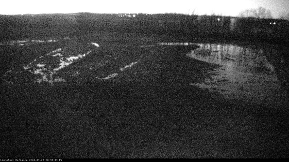 Cell 3_24-03-23_20-33-03-64