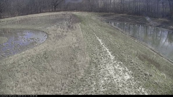 Cell 4 to Basin_24-03-23_11-38-09-67