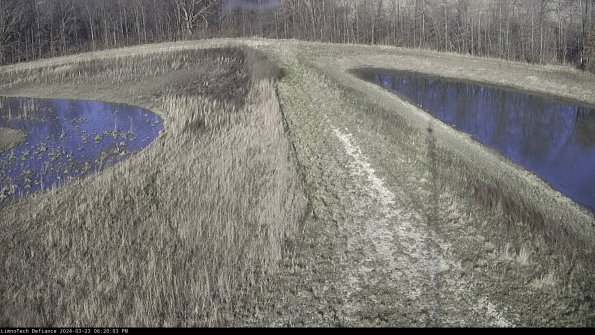 Cell 4 to Basin_24-03-23_18-20-03-67