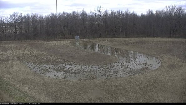 Cell 4_24-03-23_13-18-07-65