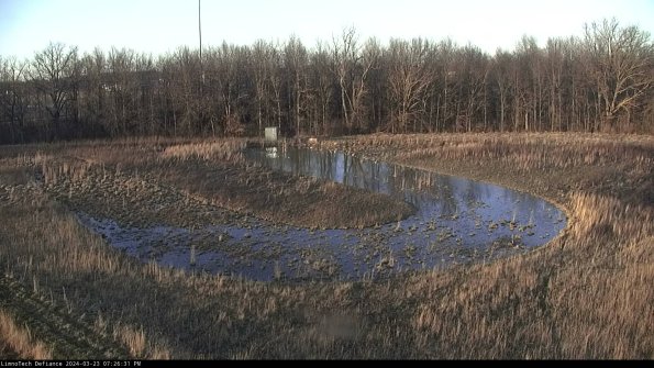 Cell 4_24-03-23_19-26-31-64