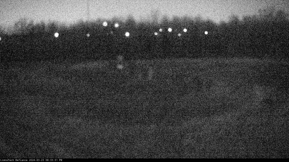 Cell 4_24-03-23_20-33-31-66