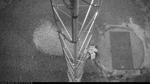 Hatch_24-03-23_07-00-00-71