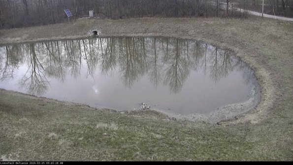 Basin Right_24-03-25_09-43-28-50