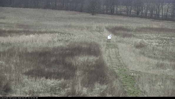 Cell 1 to 2_24-03-25_10-14-36-51