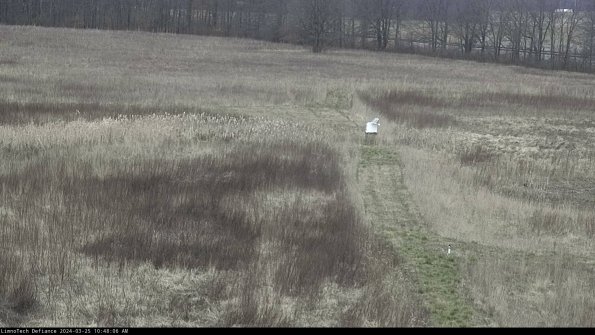 Cell 1 to 2_24-03-25_10-48-06-49