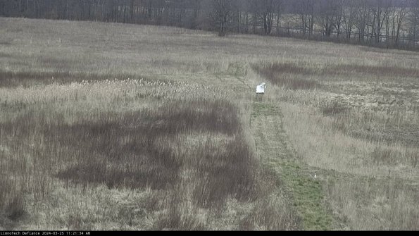 Cell 1 to 2_24-03-25_11-21-34-51