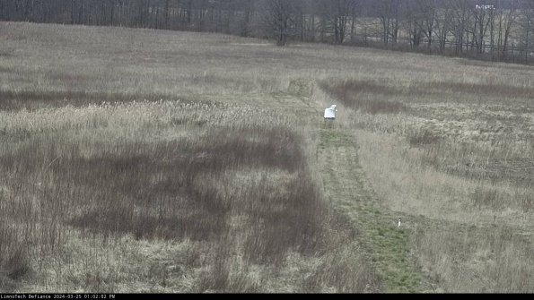 Cell 1 to 2_24-03-25_13-02-02-50