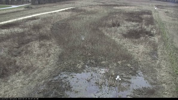 Cell 1_24-03-25_09-07-24-50