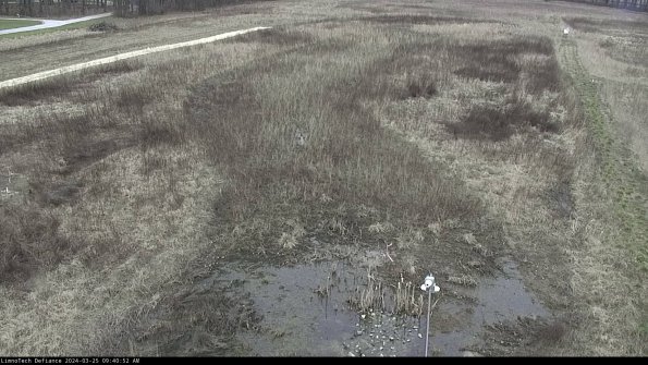 Cell 1_24-03-25_09-40-52-51