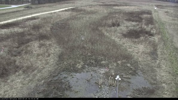 Cell 1_24-03-25_10-14-22-50