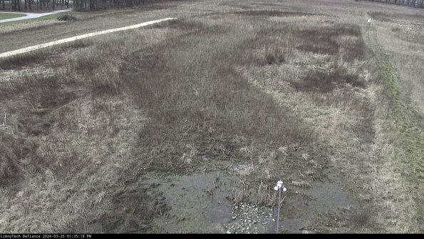 Cell 1_24-03-25_13-35-18-50