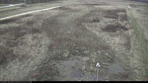 Cell 1_24-03-25_19-10-12-50