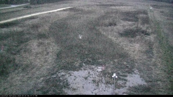 Cell 1_24-03-25_20-17-11-51