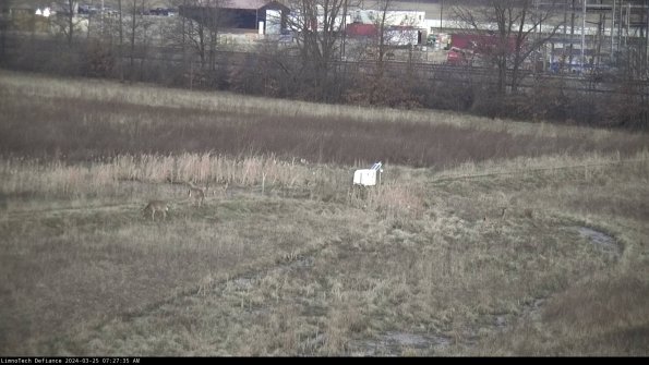 Cell 2 to 3_24-03-25_07-27-35-60