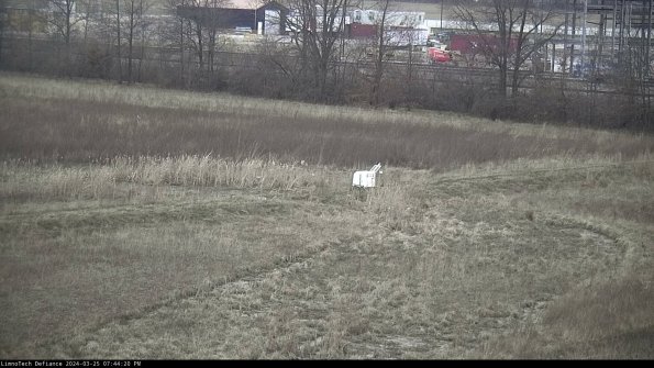 Cell 2 to 3_24-03-25_19-44-20-73