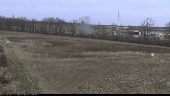 Cell 2_24-03-25_09-41-19-61