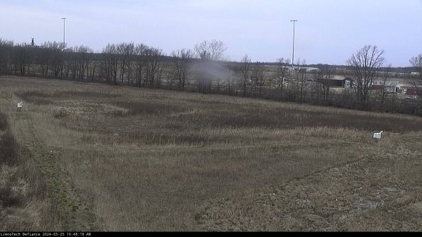 Cell 2_24-03-25_10-48-19-54